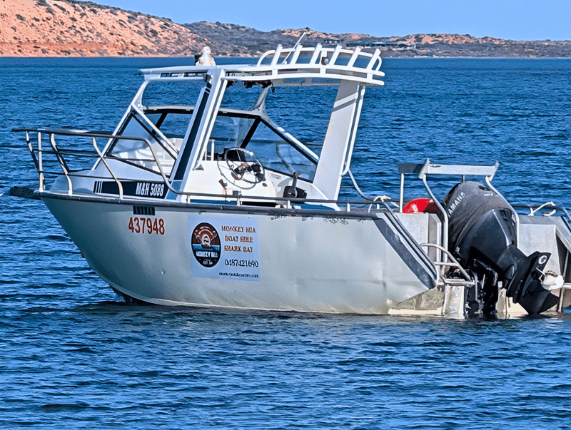 Bulawayo Buoy – Monkey Mia Boat Hire Shark Bay Bulawayo Buoy – 6m Marineline boat for hire in Shark Bay